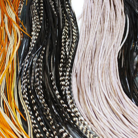 4 mezze selle di gallo Whiting Introducing Hackle Pack - Go - Fish