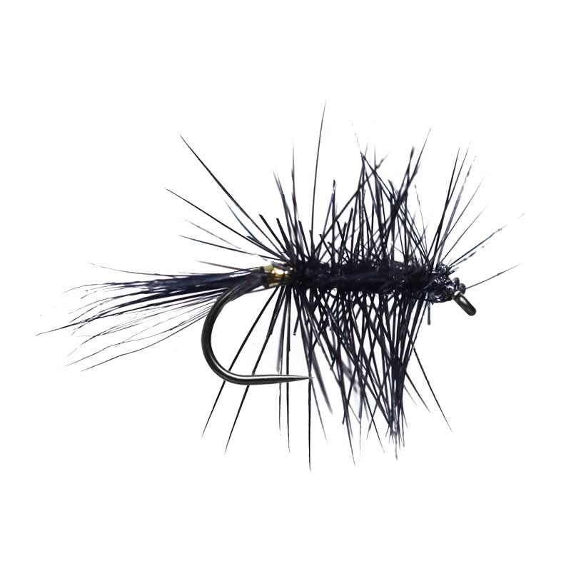 All Black Palmer BL - Go - Fish