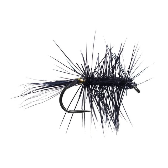 All Black Palmer BL - Go - Fish