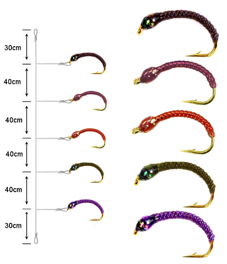 Ametteria coregone Fly-Fisherman Mod.01