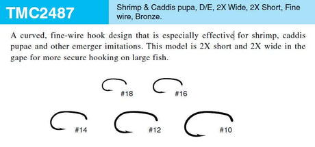 Ami Tiemco TMC 2487 20 pezzi - Go - Fish