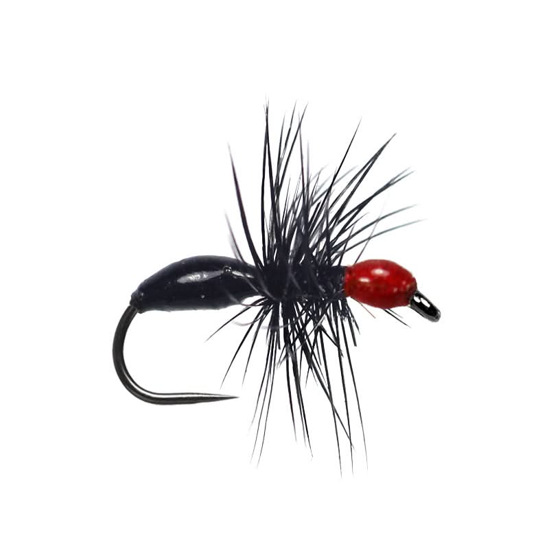 Black Red Epoxy Ant BL - Go - Fish