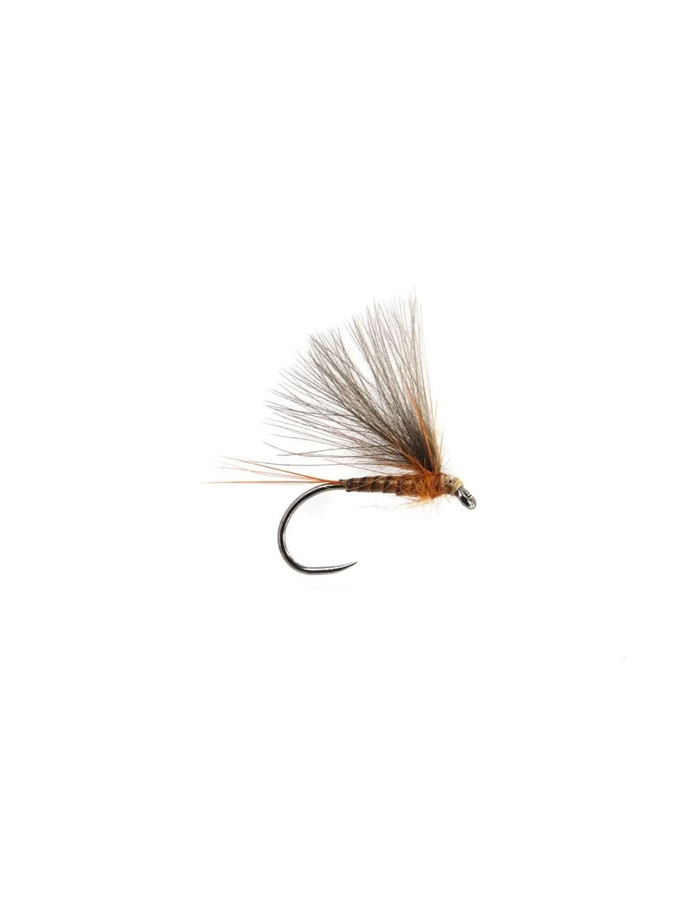 CDC BWO BL ginger - Go - Fish