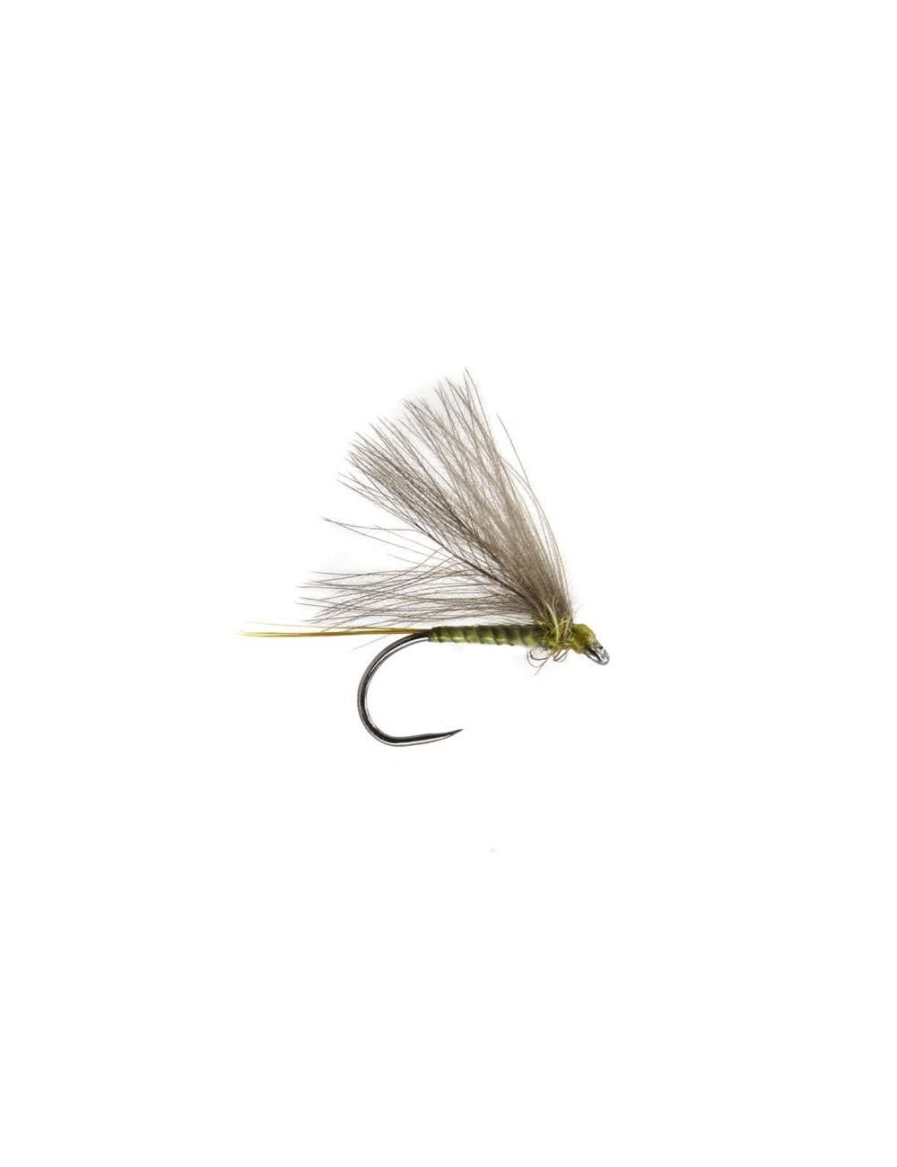 CDC BWO BL golden olive - Go - Fish