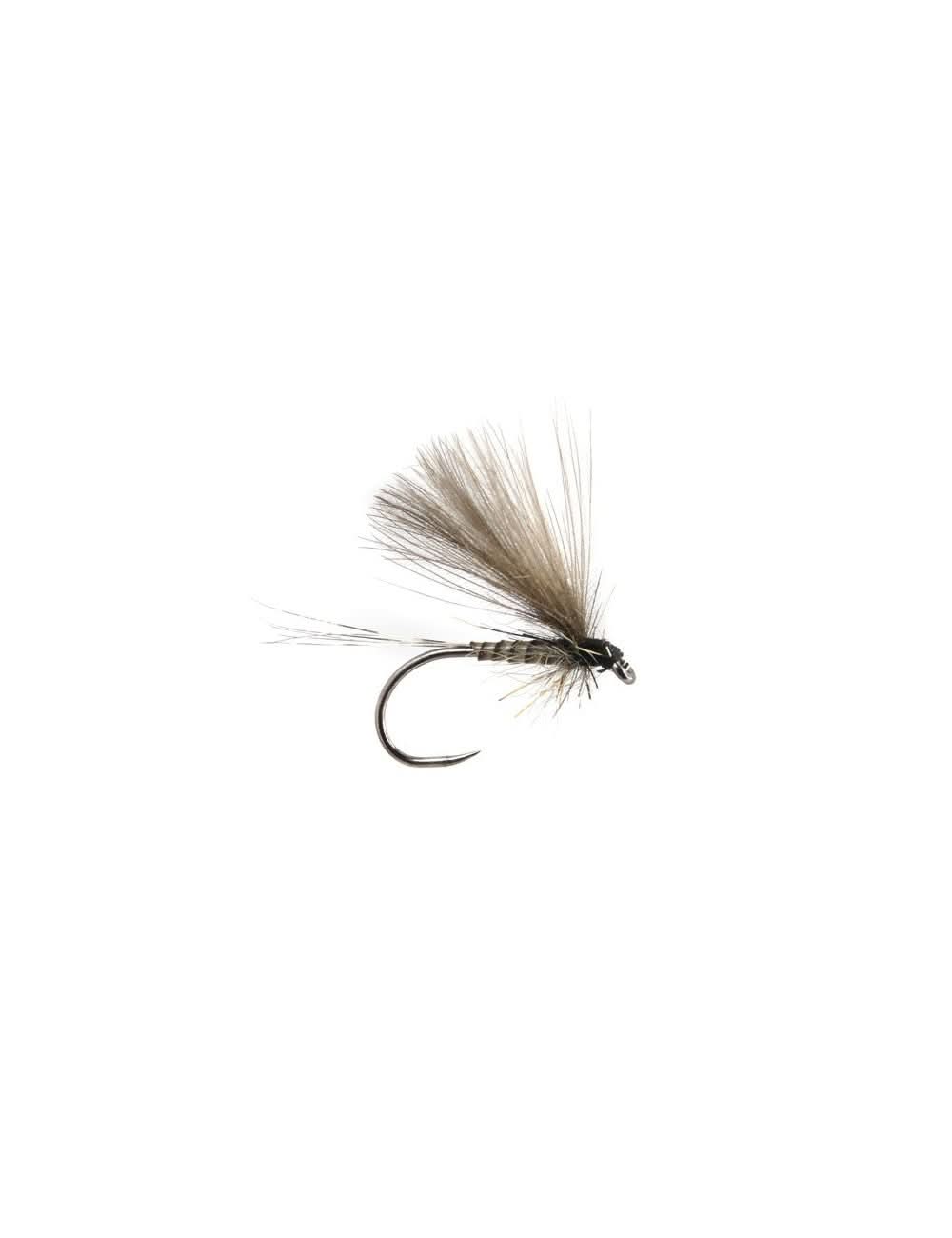 CDC BWO BL natural - Go - Fish