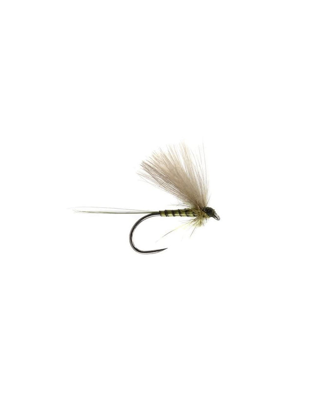 CDC BWO BL olive - Go - Fish