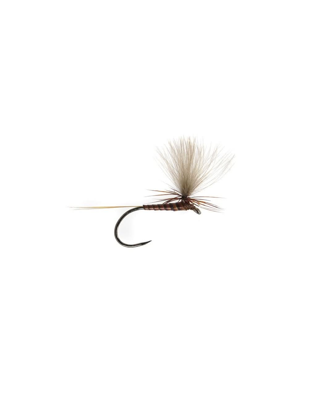 CDC Quill Parachute brown - Go - Fish