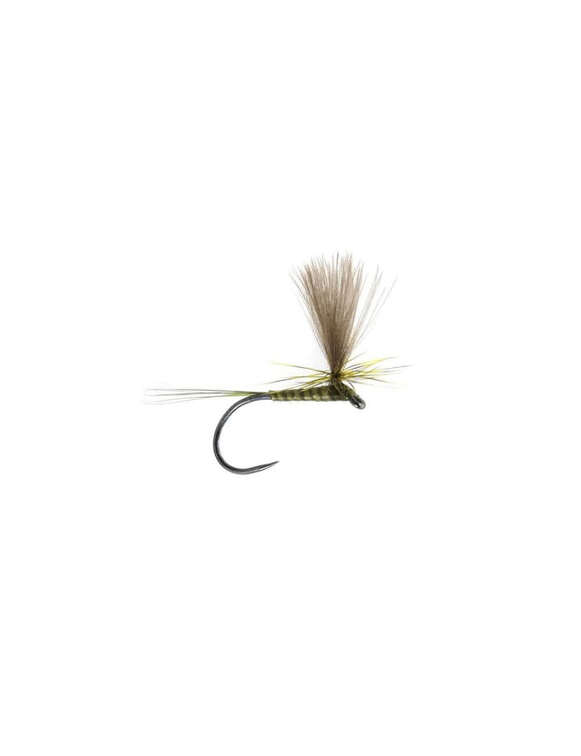 CDC Quill Parachute olive - Go - Fish