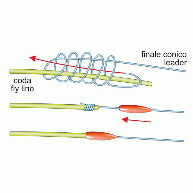 Coprinodo Stonfo 584 Stonfo