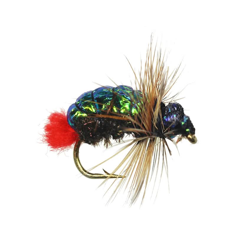 Flashback Witch - Go - Fish