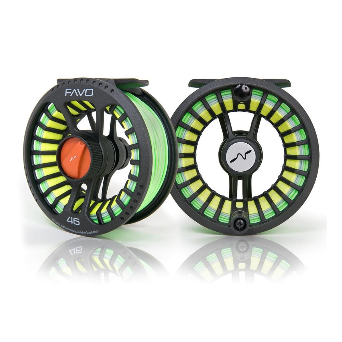 Mulinello mosca Guideline FAVO