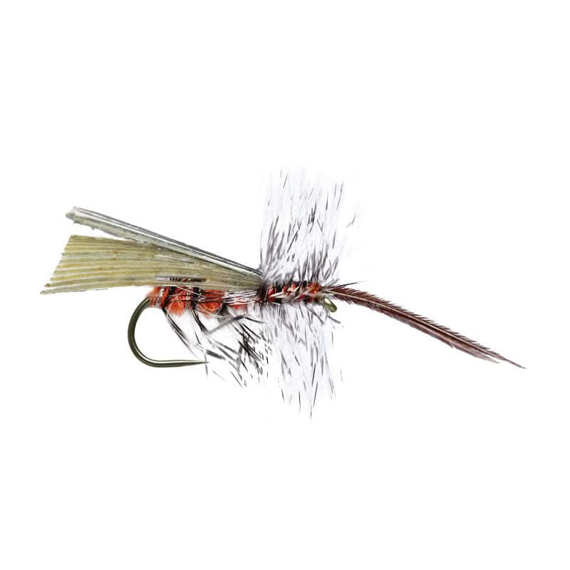 Grey Sedge Roof Wing BL - Go - Fish