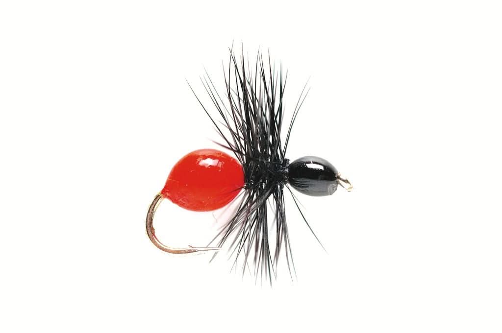 Hard Body Ant - Go - Fish