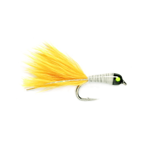 Lead Bug White/Sunburst 12 - Go - Fish