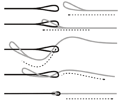 Loop Connectors Go-Fish