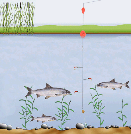 Piombo coregone a pendolo Go-Fish