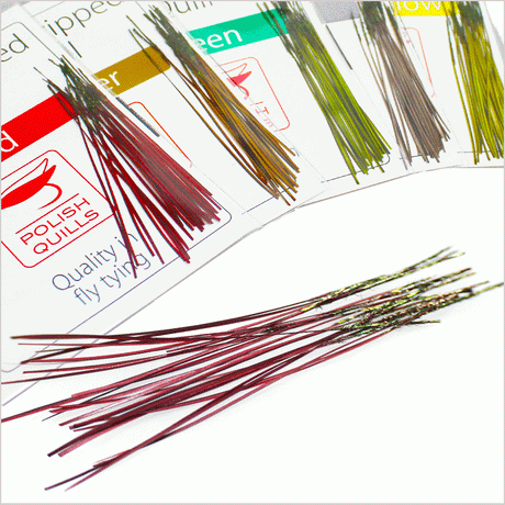 Polish Quill Hand Stripped Peacock Quills Polish Quills