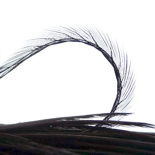 Rooster Half Cape Premium col. natural black - Go - Fish