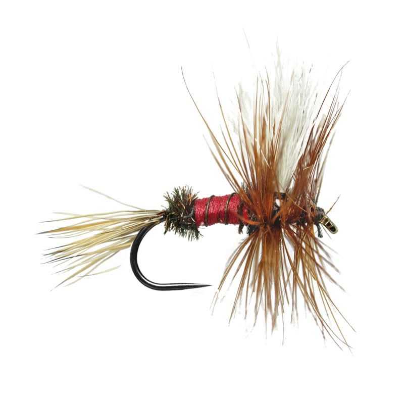 Royal Wulff BL - Go - Fish