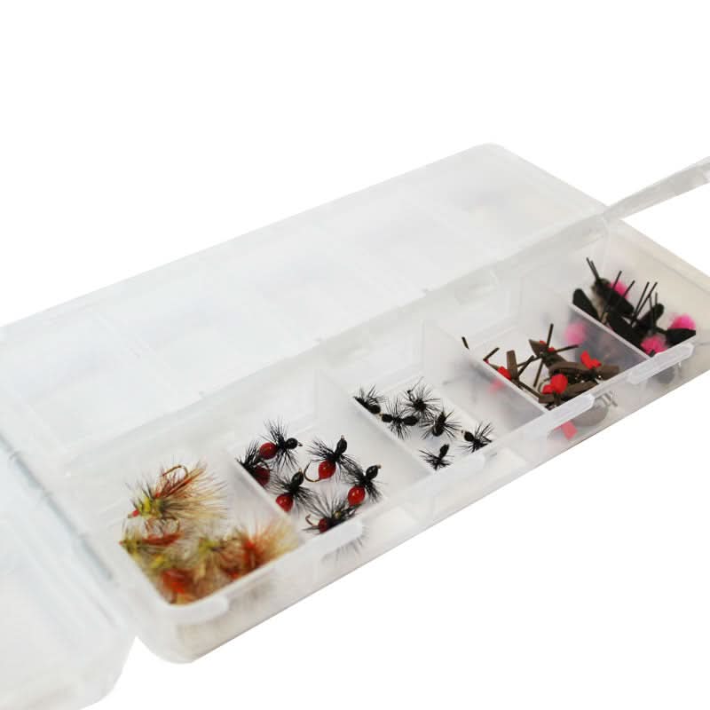 Scatola porta accessori 20 scomparti - Go - Fish