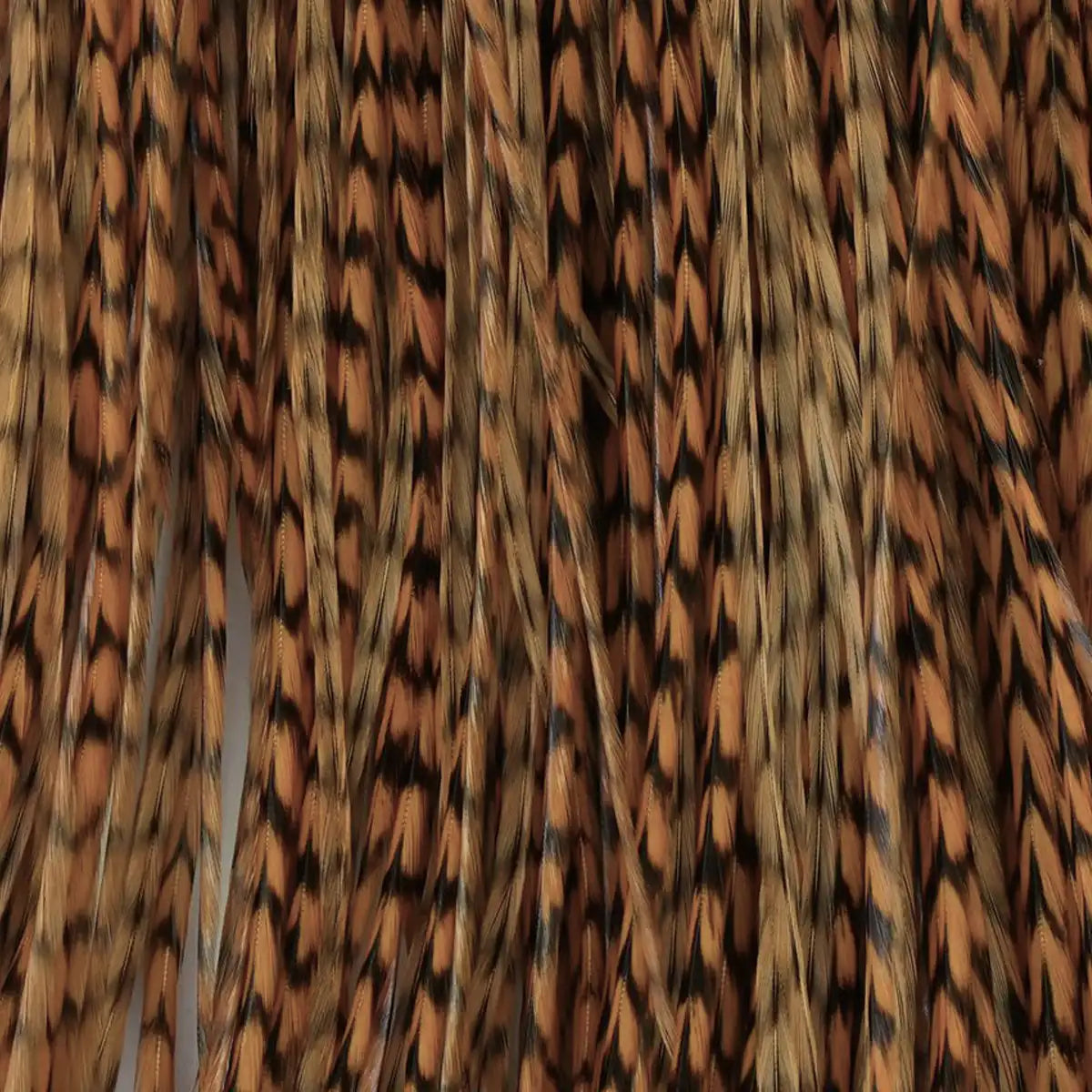 Whiting Mezza sella di gallo midge bronze