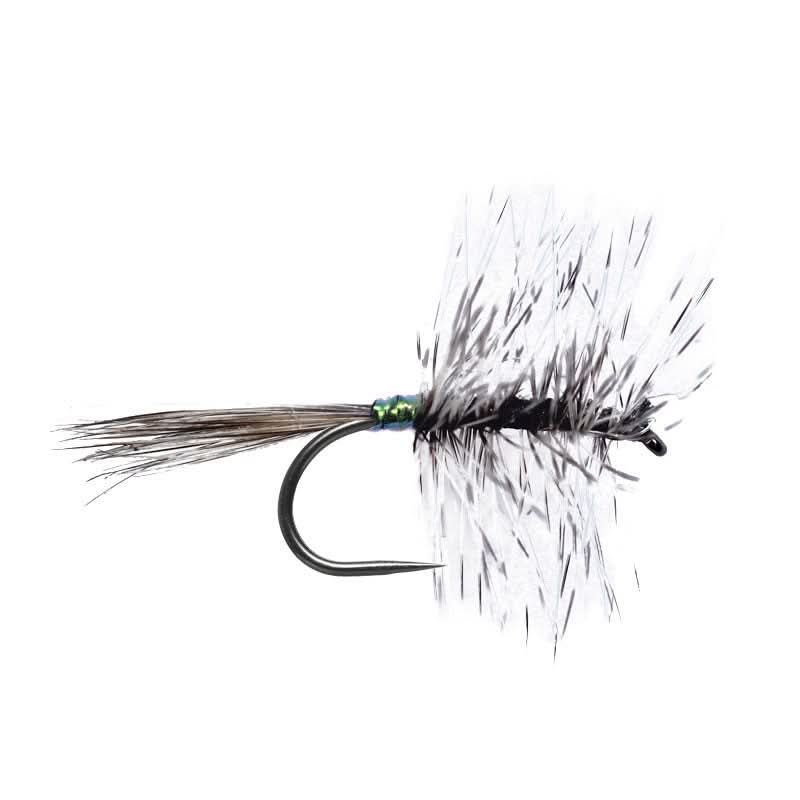 All Grizzly Palmer BL - Go - Fish