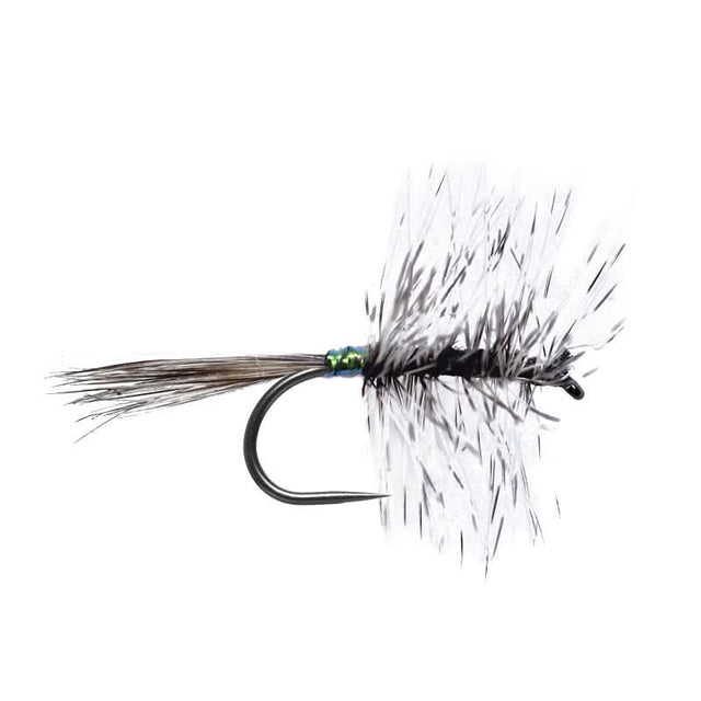 All Grizzly Palmer BL - Go - Fish