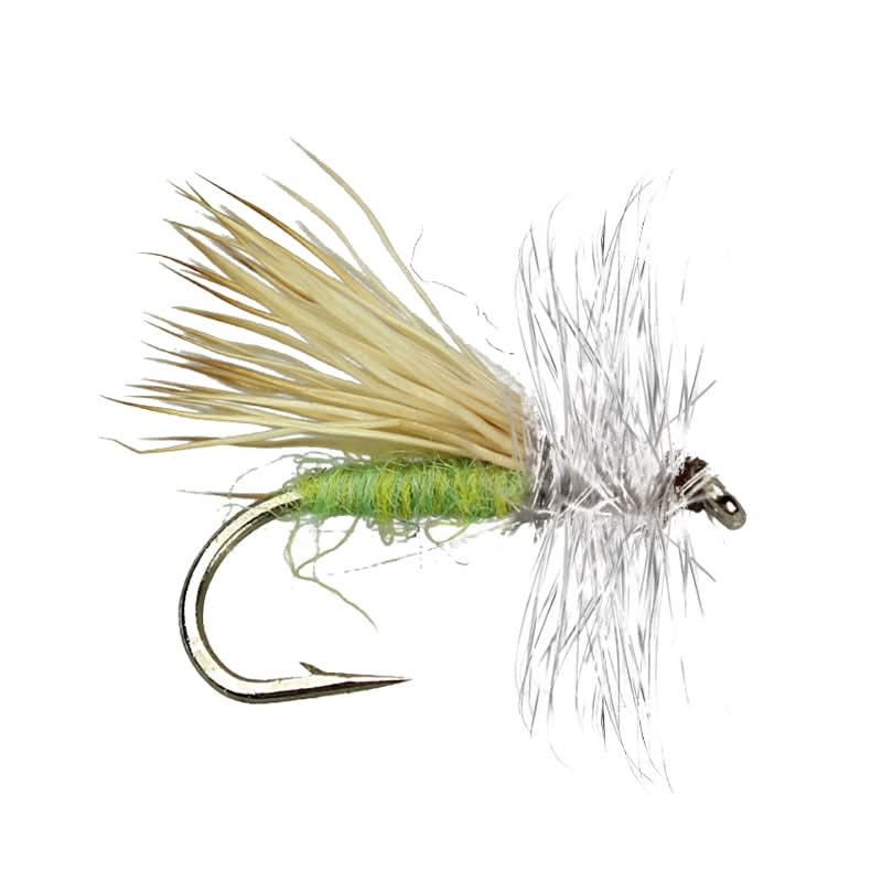 Apple Caddis Adult - Go - Fish