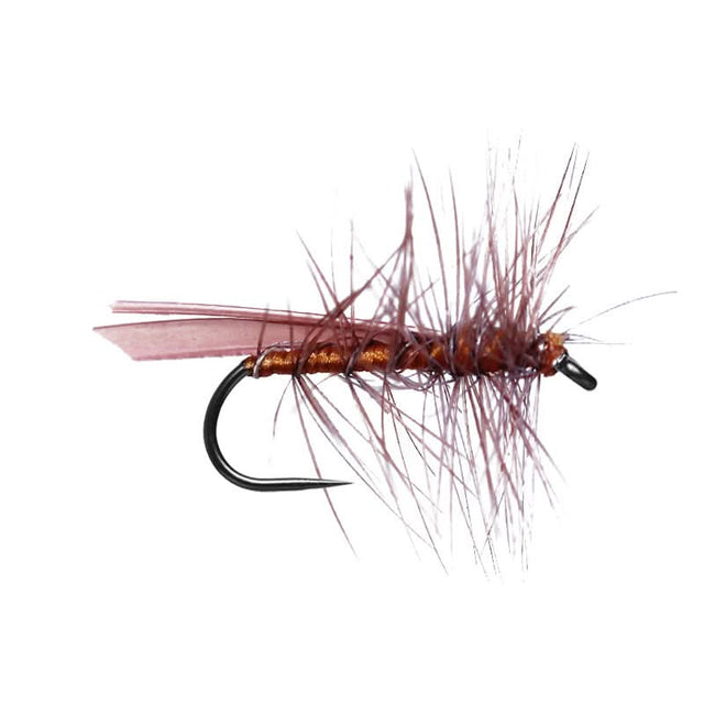 Blue Dun Stone Fly BL - Go - Fish