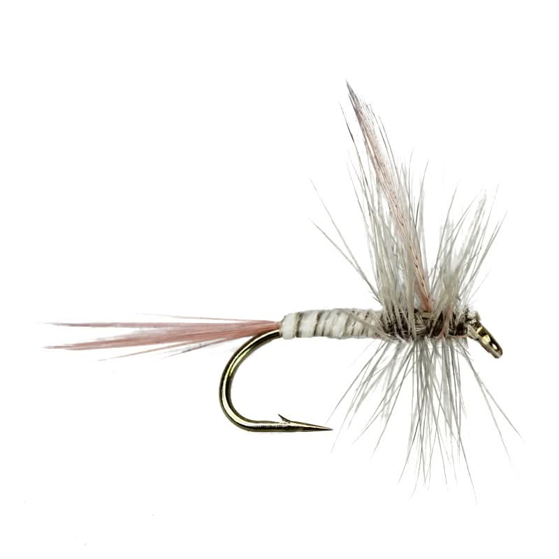 Blue Quill Spinner - Go - Fish