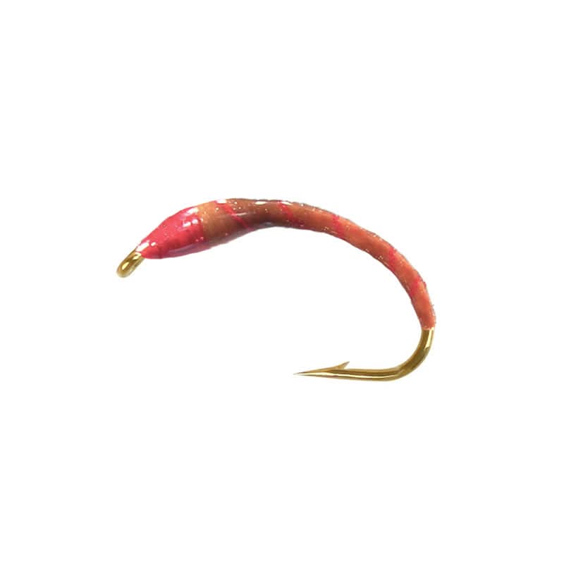 Brown red rib ninfa - Go - Fish