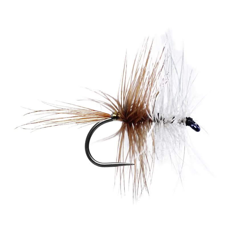 Brown White Palmer BL - Go - Fish