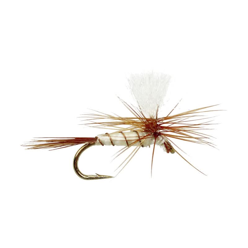 BWO Parachute - Go - Fish