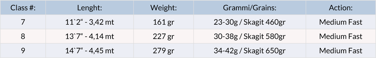 Canna da mosca a due mani Vision Hero - Go - Fish