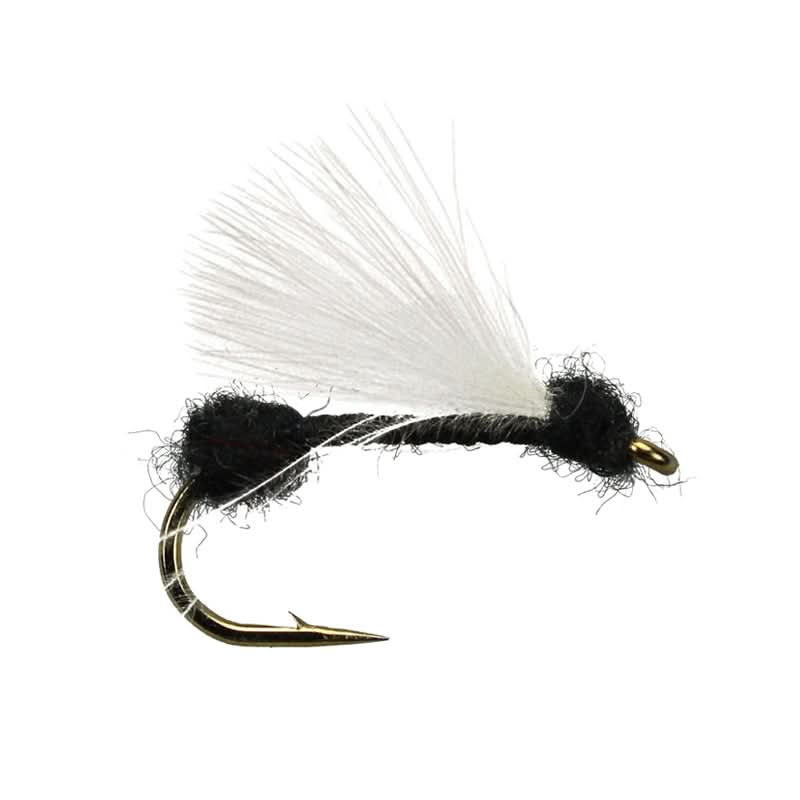 CDC - Black Ant - Go - Fish