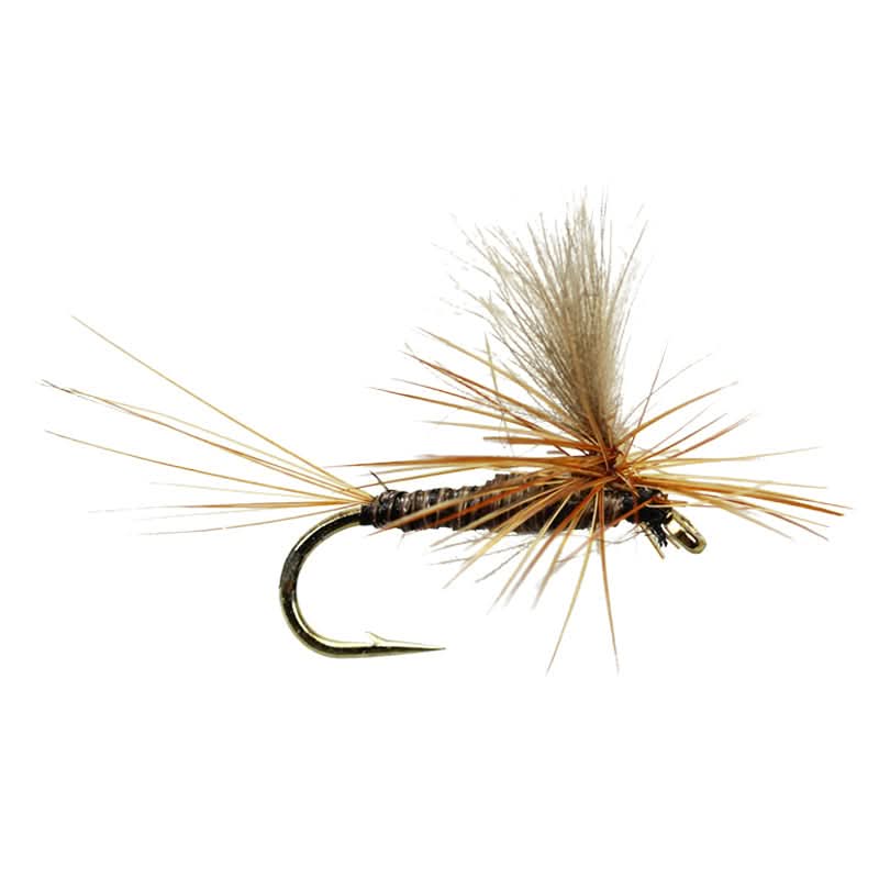 CDC - Grey Quill Parachute - Go - Fish