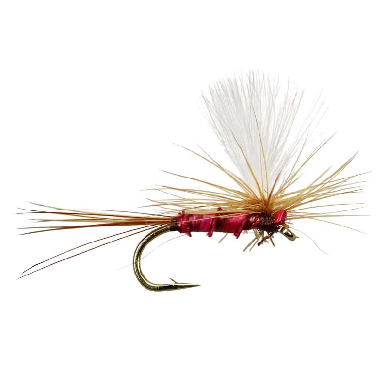 CDC - Red Pheasant Parachute - Go - Fish