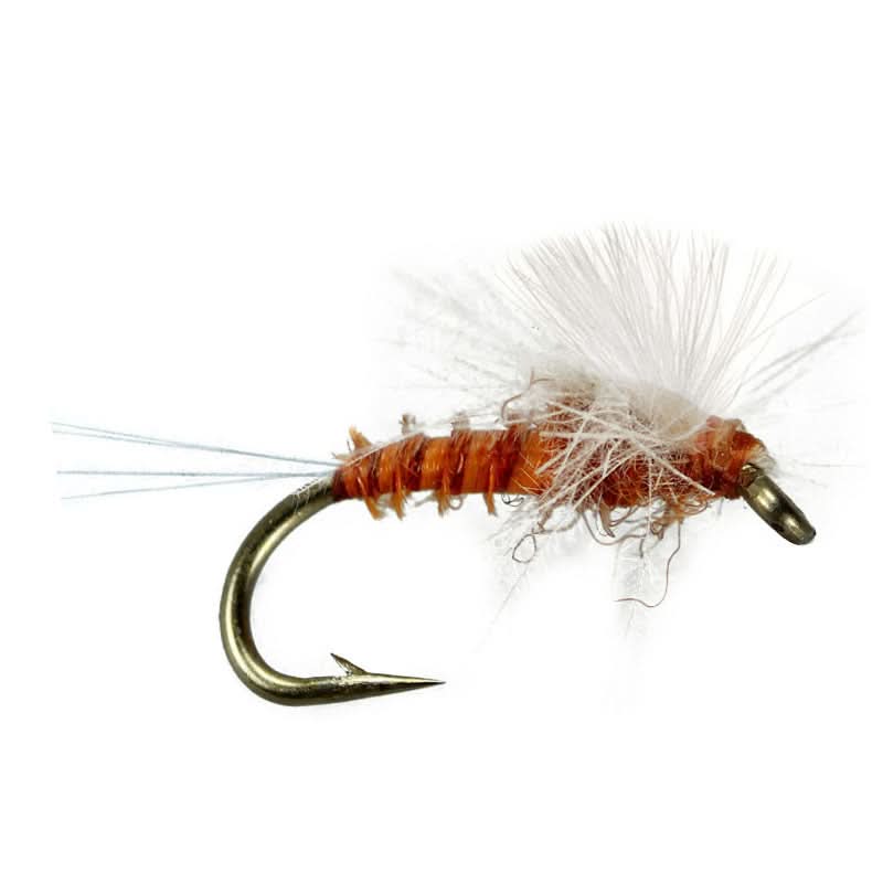 CDC - Spinner Rusty - Go - Fish