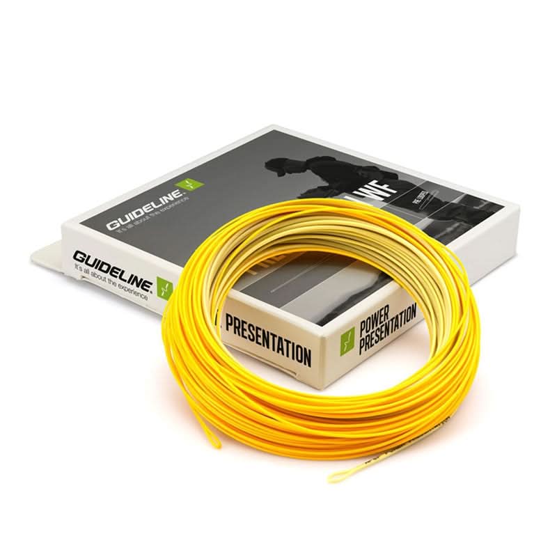 Coda di topo Guideline Power Presentation WF - Go - Fish