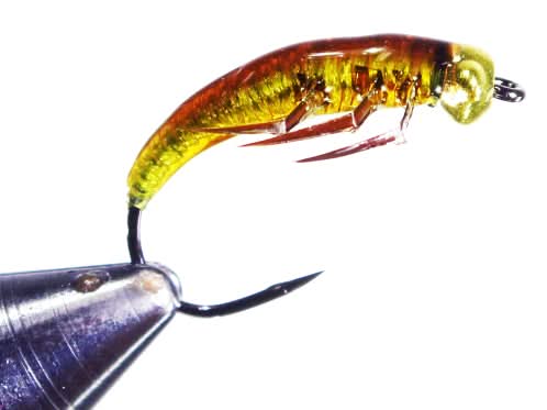 Colla UV GULFF - Go - Fish