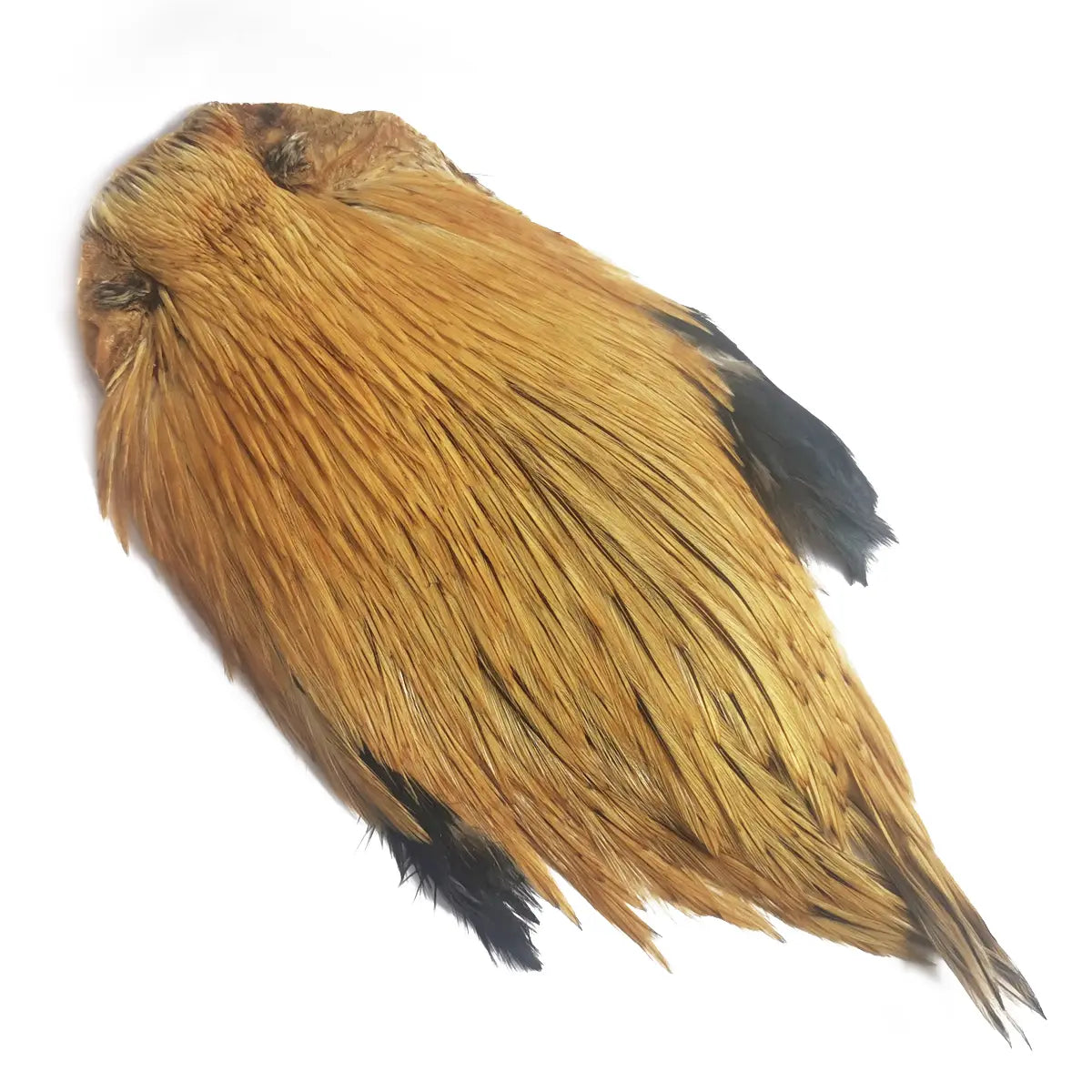 Indian Cock Neck Rooster Cape