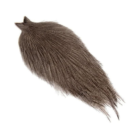 Collo di Gallo Pardo - Coq de Leon - Go - Fish