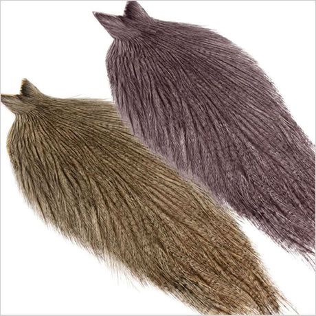 Collo di Gallo Pardo - Coq de Leon - Go - Fish