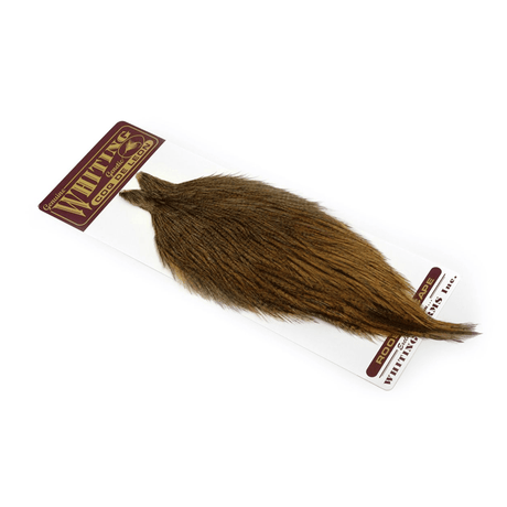 Collo di Gallo Pardo - Coq de Leon - Go - Fish