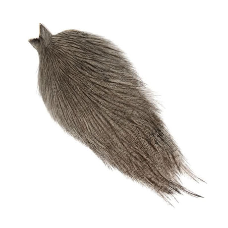 Collo di Gallo Pardo - Coq de Leon - Go - Fish