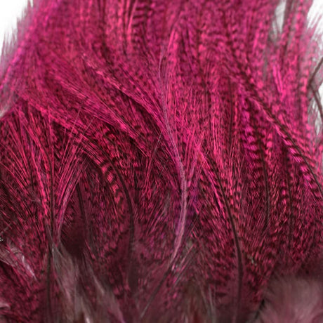 Coq de Leon Euro Nymph Tailing Pack Whiting - Go - Fish