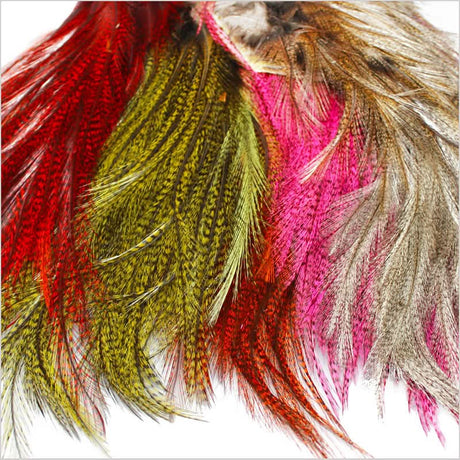 Coq de Leon Euro Nymph Tailing Pack Whiting - Go - Fish