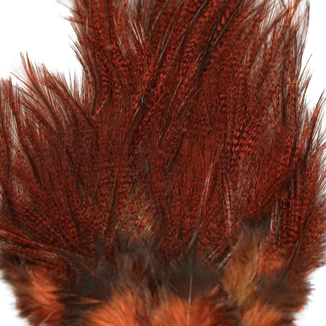 Coq de Leon Euro Nymph Tailing Pack Whiting - Go - Fish