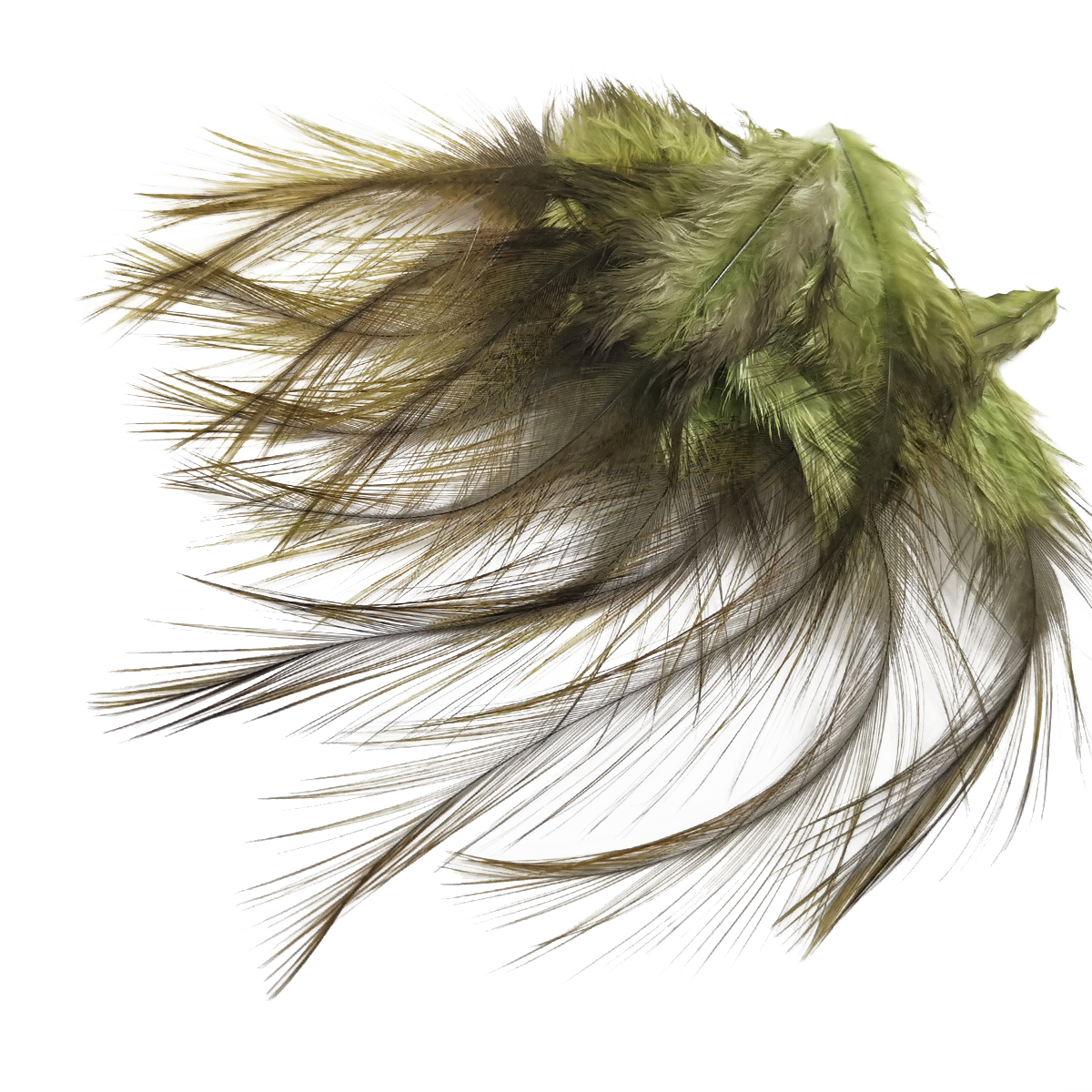 Coq de Leon Selected Saddle Hackles