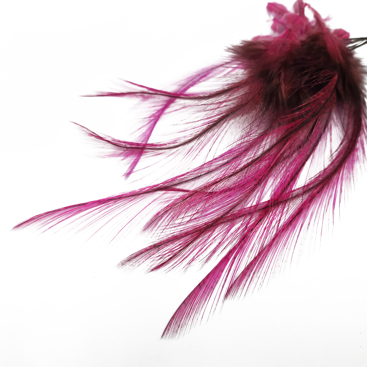 Coq de Leon Selected Saddle Hackles